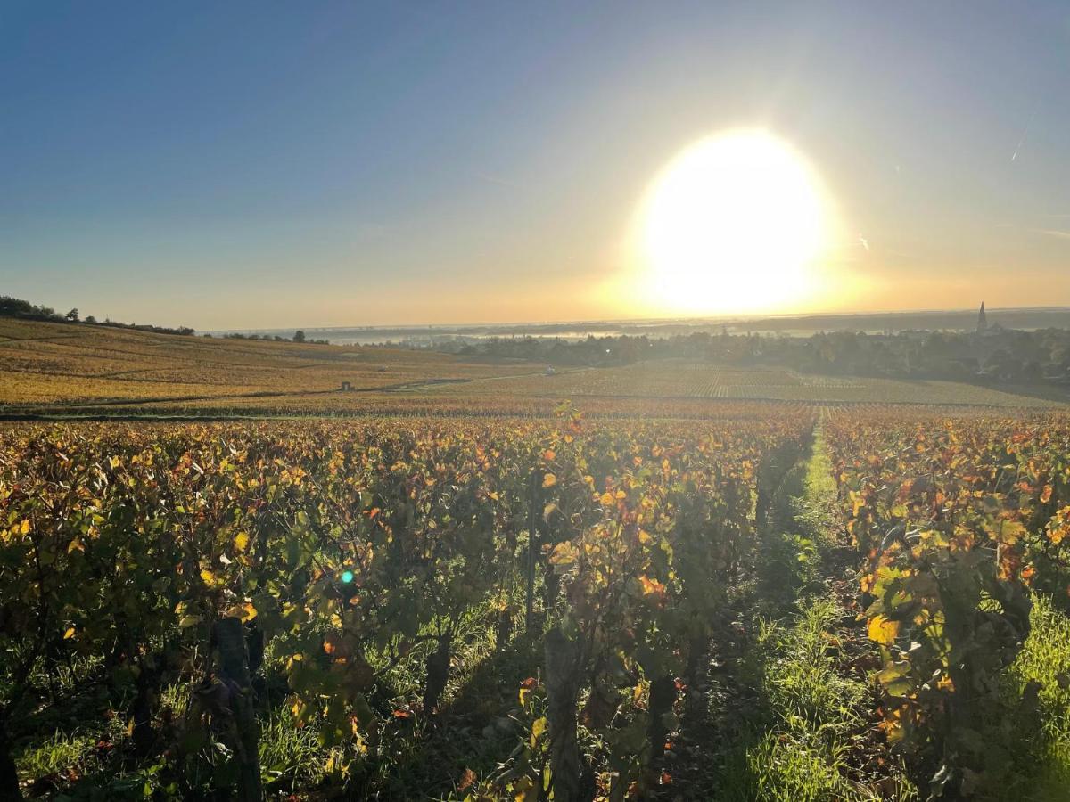 Le Clos De Miribel Givry  Dış mekan fotoğraf