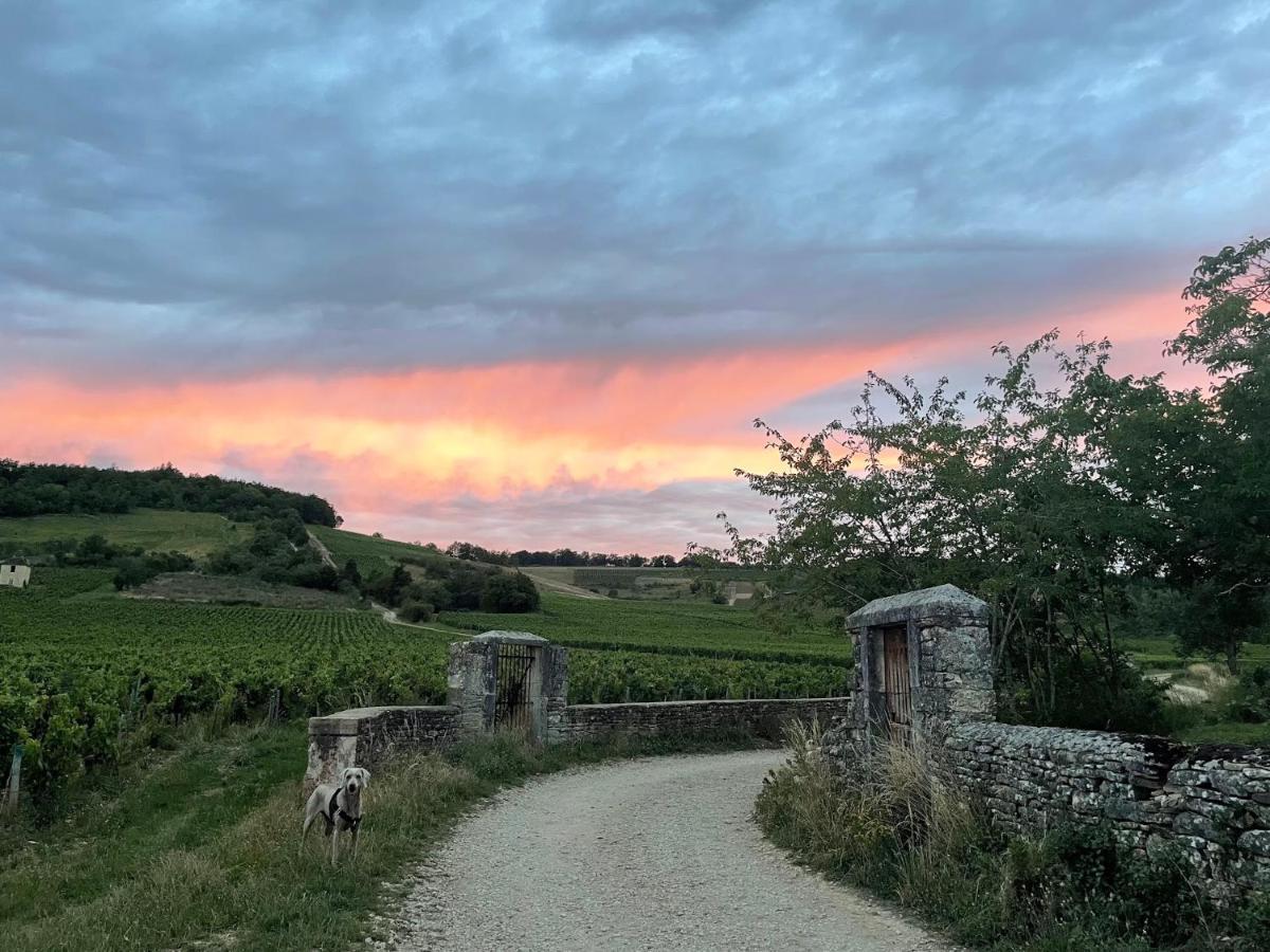 Le Clos De Miribel Givry  Dış mekan fotoğraf